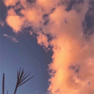 新快平台口袋妖怪重制下载